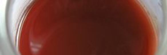 апельсиновая панна котта