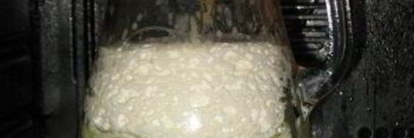 домашний творог и сыворотка