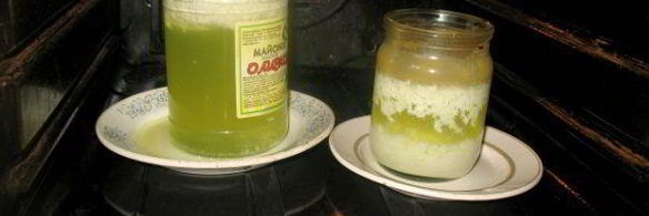 домашний творог и сыворотка