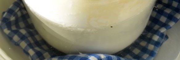 домашний творог из молока дома