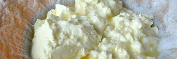 домашний творог из молока дома