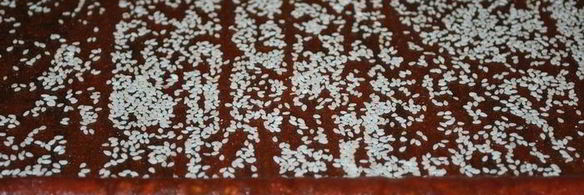 грушевая пастила с кардамоном и тыквенными семечками