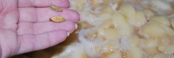 грушевая пастила с кардамоном и тыквенными семечками