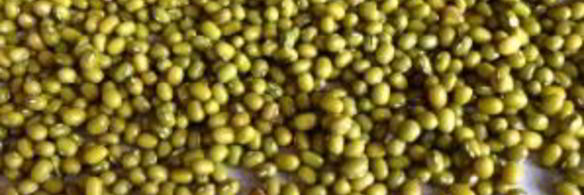 индийская сладость ладу