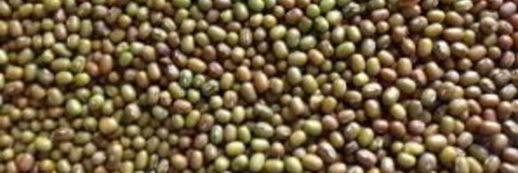 индийская сладость ладу