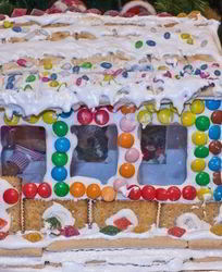 Домик из конфет