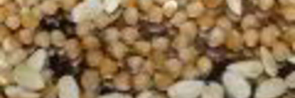 марципановые конфеты из нута, миндаля и фиников