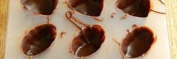 шоколадные конфеты с творожным сыром