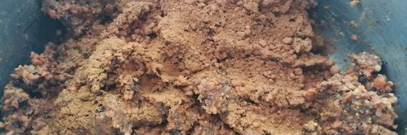 сыроедческие конфеты из моркови, сухофруктов и орехов