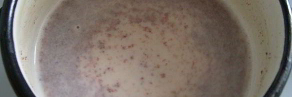 баварский крем с ароматом корицы