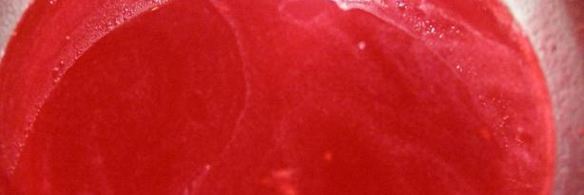 крем-брюле с малиново-клубничным соусом