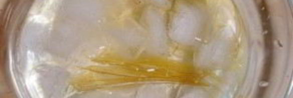 крем шибуст