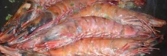 креветки королевские под кремом из фасоли и оливок