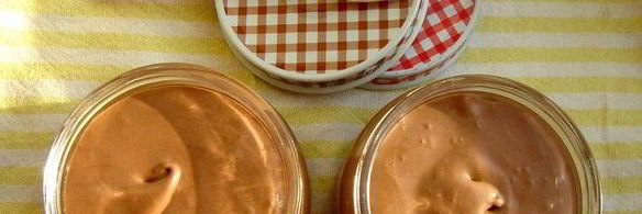 домашнее шоколадное мороженое