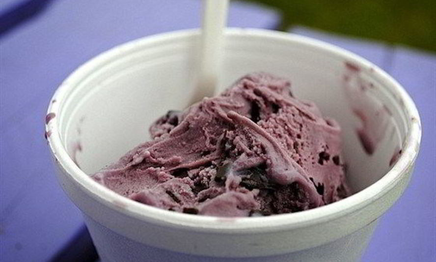 Рецепт йогуртового малинового мороженого с шоколадными чипсами