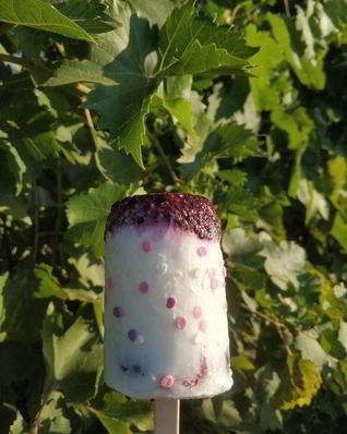 Легкое йогуртовое мороженое