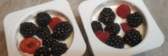 легкое йогуртовое мороженое