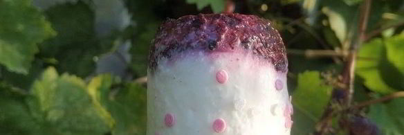 легкое йогуртовое мороженое