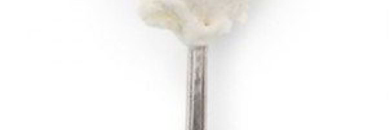 Молочное ванильное мороженое