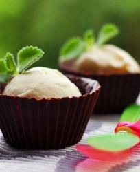 Мороженое Американа