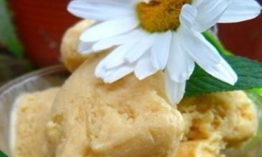 Рецепт мороженого из козьего молока