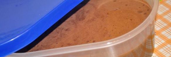 мороженое шоколадно-кофейное