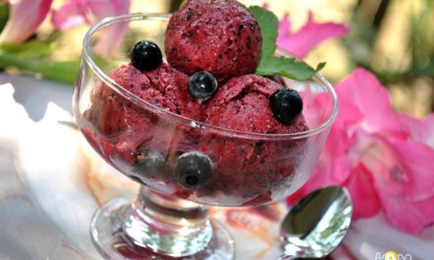 Рецепт смородинова-йогуртового мороженого диетического