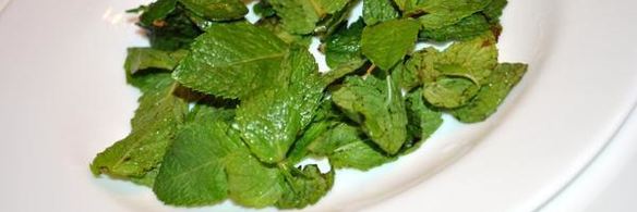 смородиново-йогуртовое мороженое диетическое