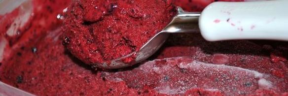 смородиново-йогуртовое мороженое диетическое