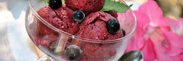 смородиново-йогуртовое мороженое диетическое