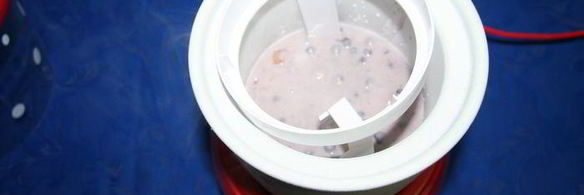 сырное черничное мороженое