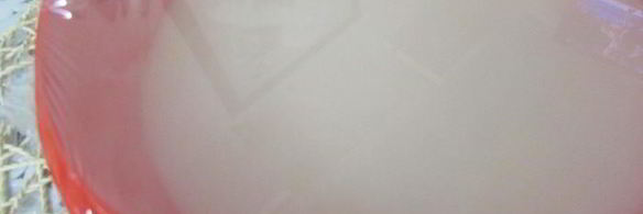 торт-мороженое арбуз