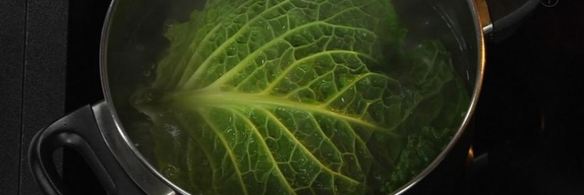 мусс из белой рыбы на пюре из брокколи