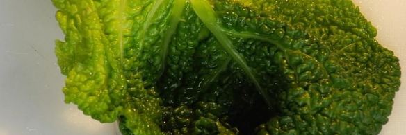 мусс из белой рыбы на пюре из брокколи