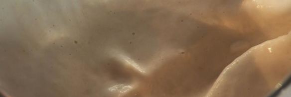 мусс из куриной печенки