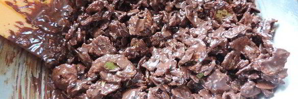 шоколадный торт-мусс без выпечки