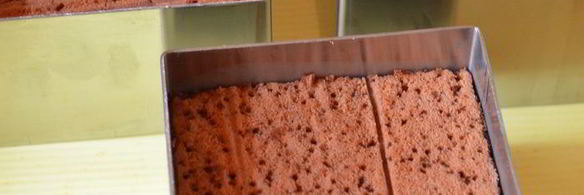 тирамису с кокосовым муссом, малиновым желе и черникой