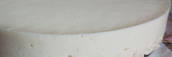 торт-мусс без выпечки сладкий дуэт