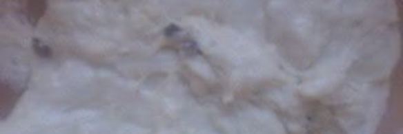 куличи для большой семьи