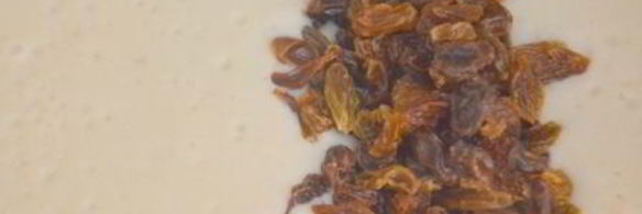 моя любимая творожная пасха