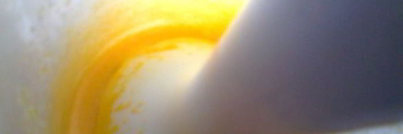 пасха миндальная заварная