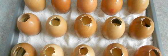 пасхальные яйца