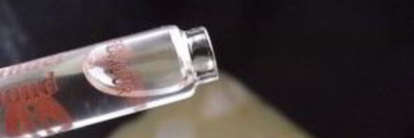 тесто для кулича в хлебопечке