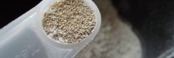 тесто для кулича в хлебопечке