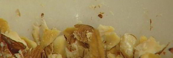 ванильная пасха с цукатами и миндалем