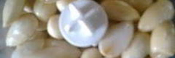 заварная творожная пасха