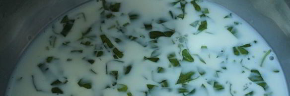 шоколадный десерт с базиликом