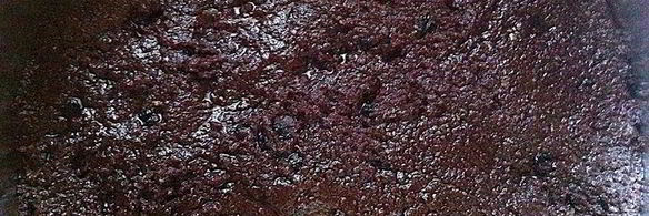 шоколадный корж