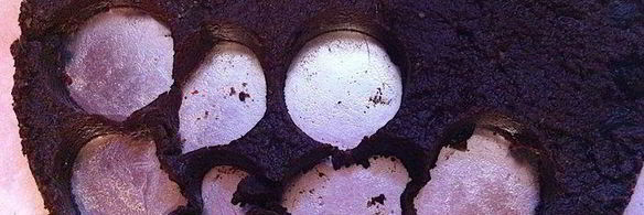 шоколадный корж