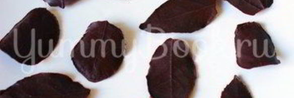 шоколадные листики
